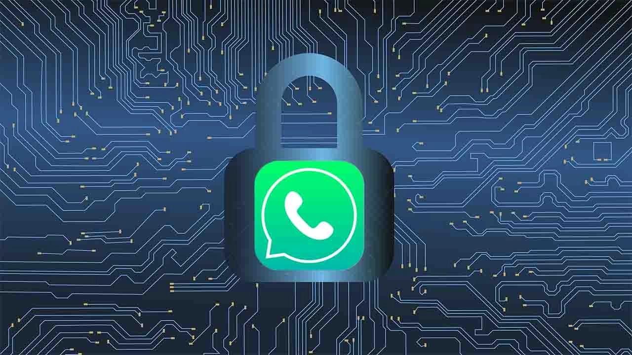 В WhatsApp ожидается функция конфиденциальности: больше никаких сообщений от незнакомцев!