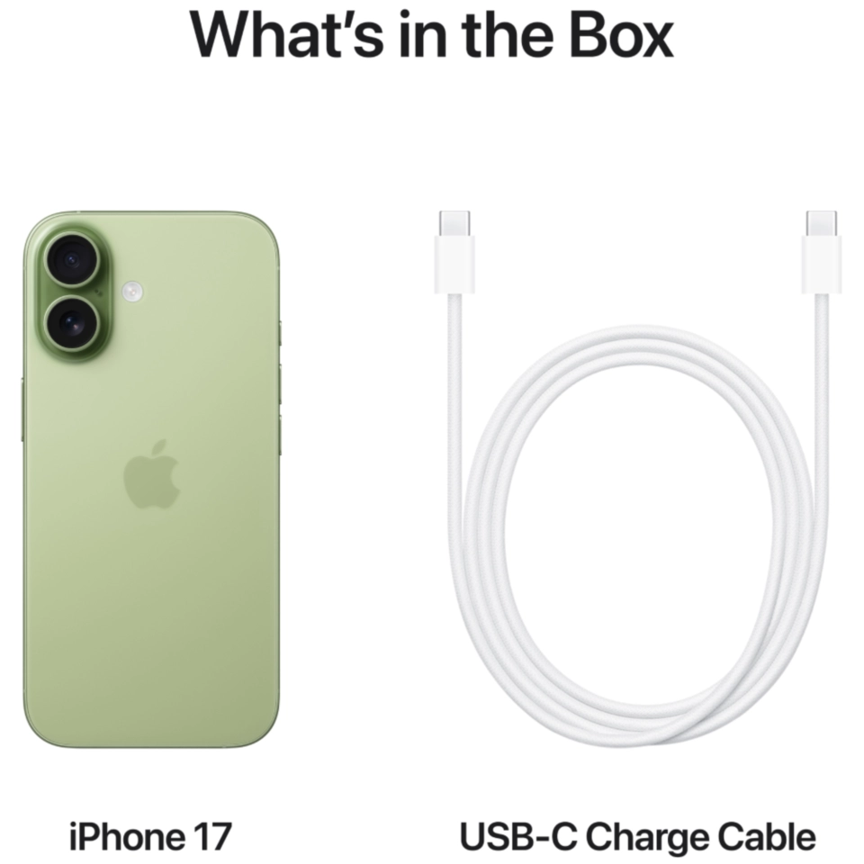 iPhone 17 بسعة 256 جيجابايت – أخضر مريمي