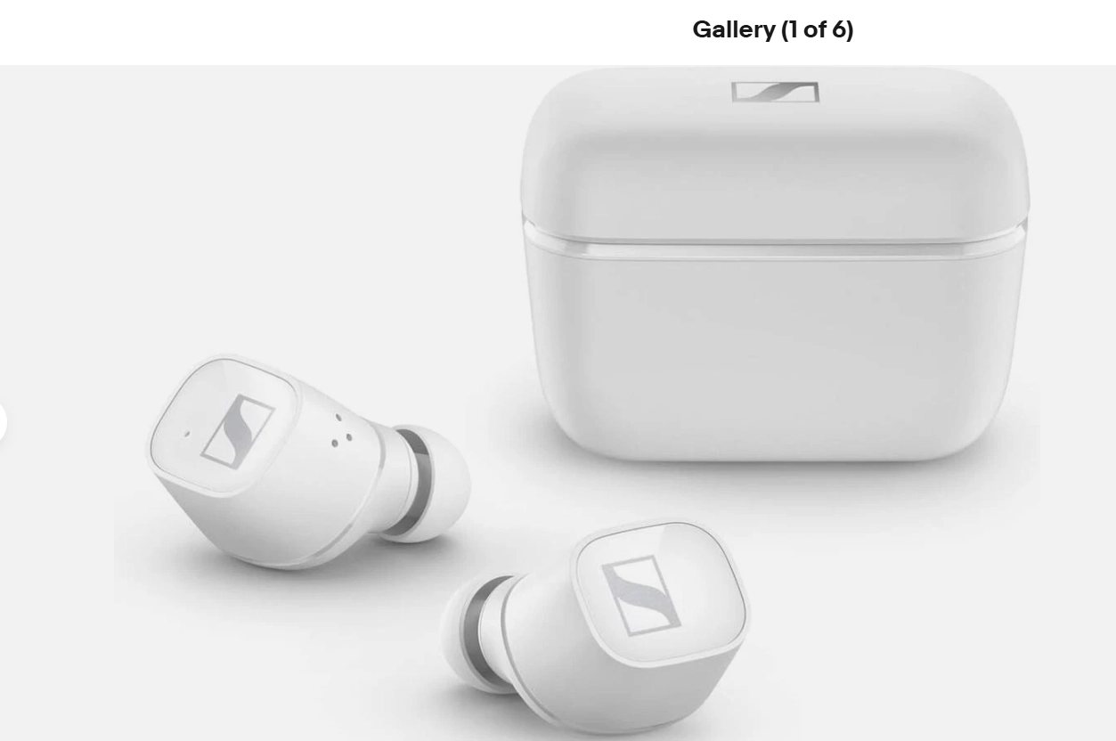 Беспроводные наушники Sennheiser True Wireless, Белые (508901)