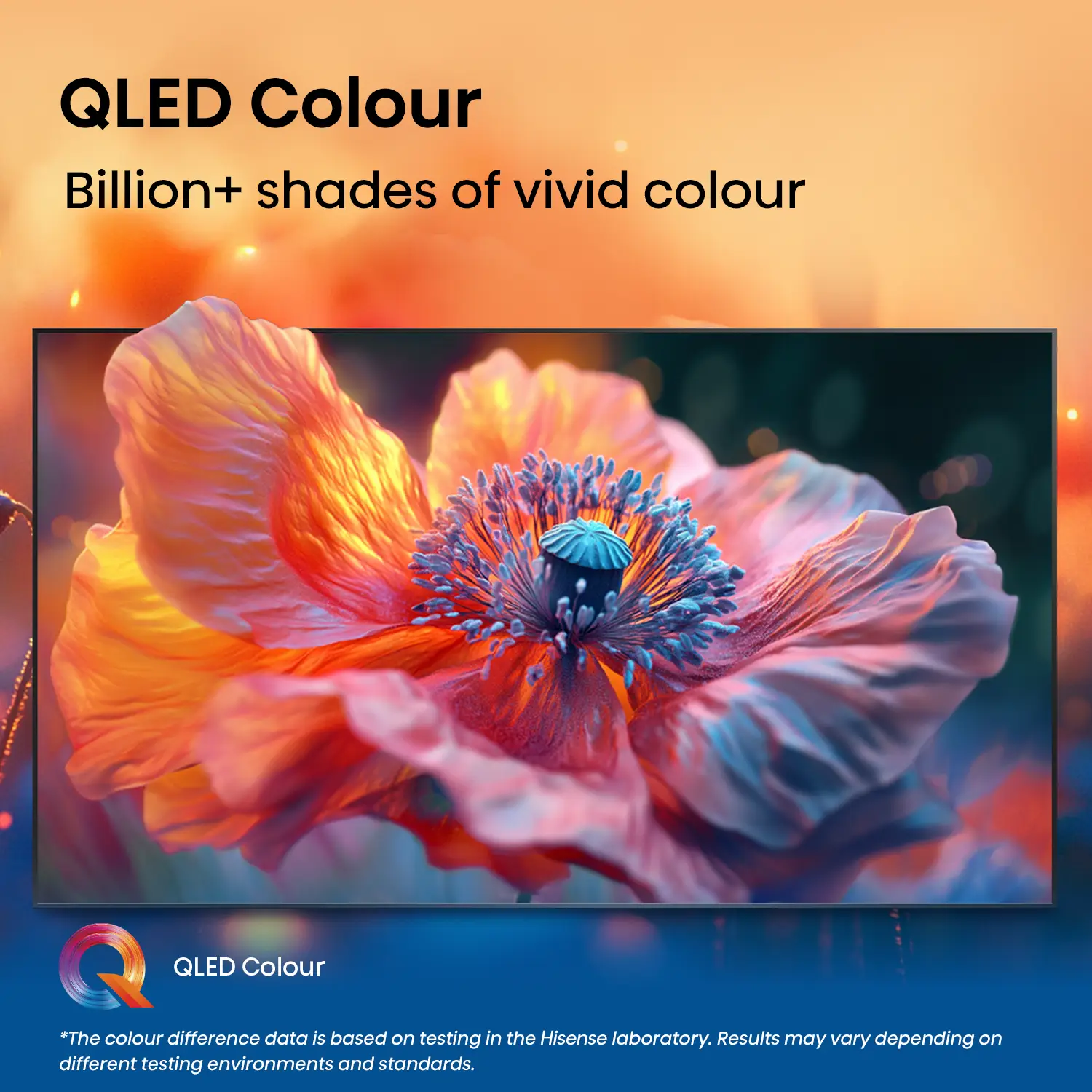 Hisense 65 inch QLED 4K Smart TV Q6Q